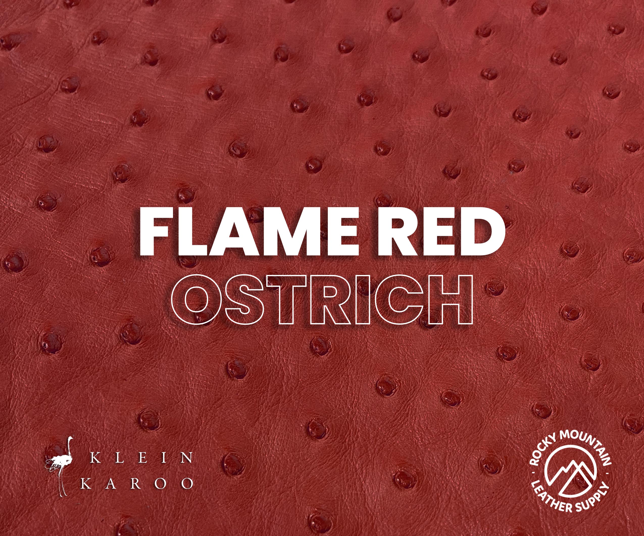 Klein Karoo - Luxury Ostrich - Matte - Exotic Leather (Hides)