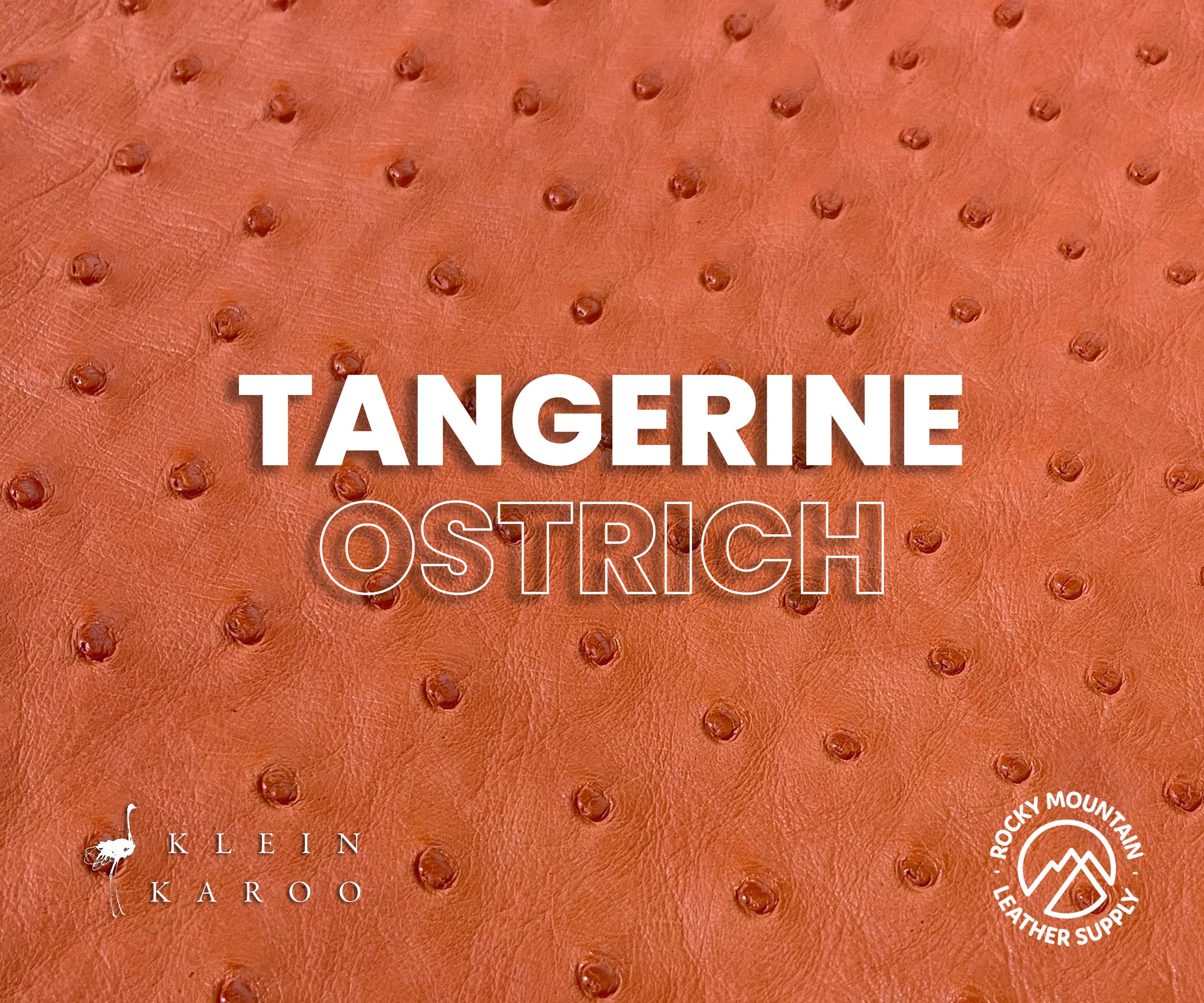 Klein Karoo - Luxury Ostrich - Matte - Exotic Leather (Hides)