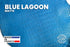 American Alligator - Luxury Skins - (HIDES) 40% OFF!