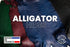 American Alligator - Luxury Skins - (HIDES) 40% OFF!