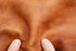 Badalassi Carlo - Arnia - "Vacchetta" Veg Tanned Leather (SAMPLES)