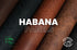 Badalassi Carlo - Habana - Rustic Veg Tanned Leather (PANELS)