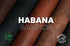 Badalassi Carlo - Habana - Rustic Veg Tanned Leather (SAMPLES)