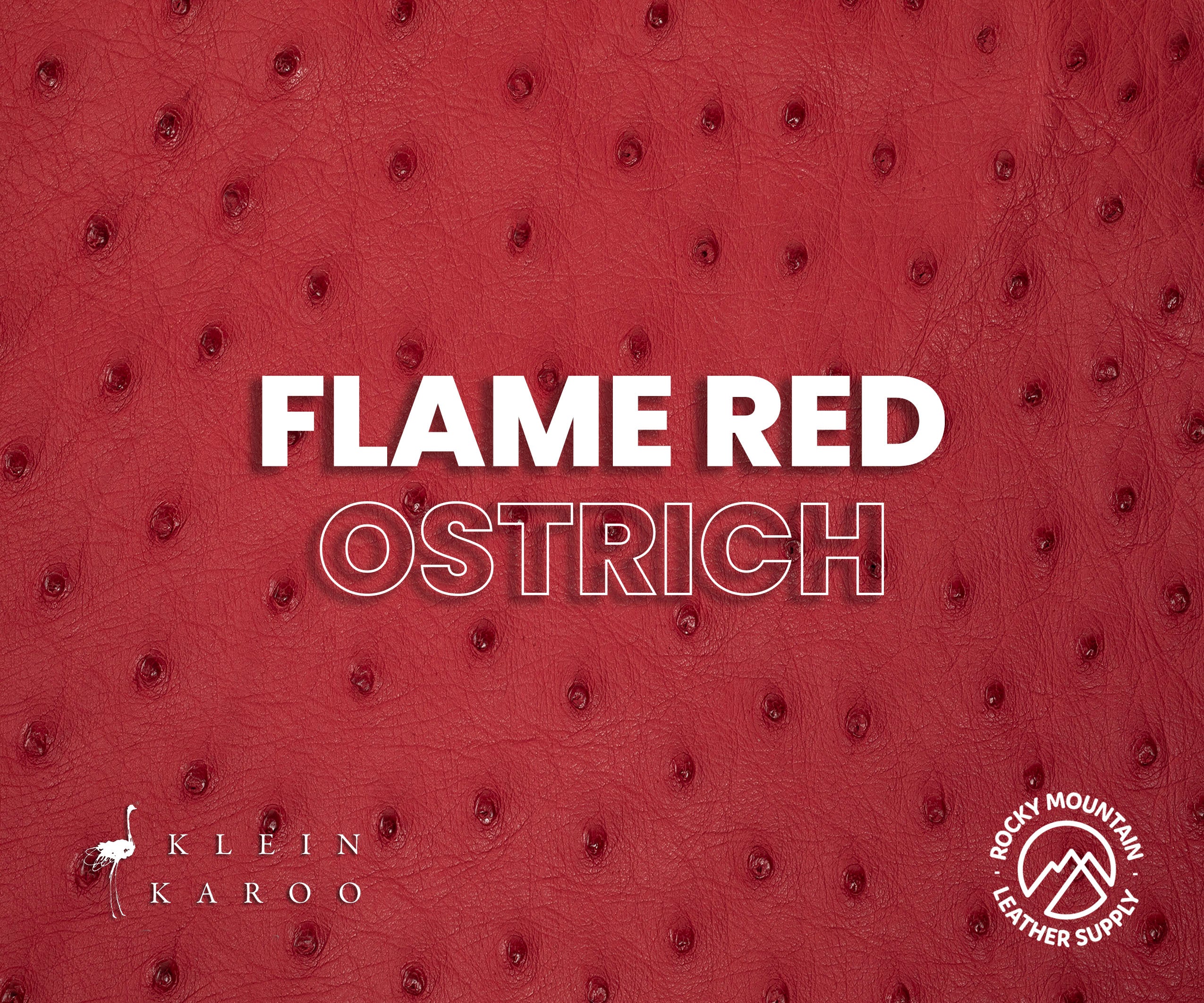 Klein Karoo - Luxury Ostrich - Matte - Exotic Leather (Hides)