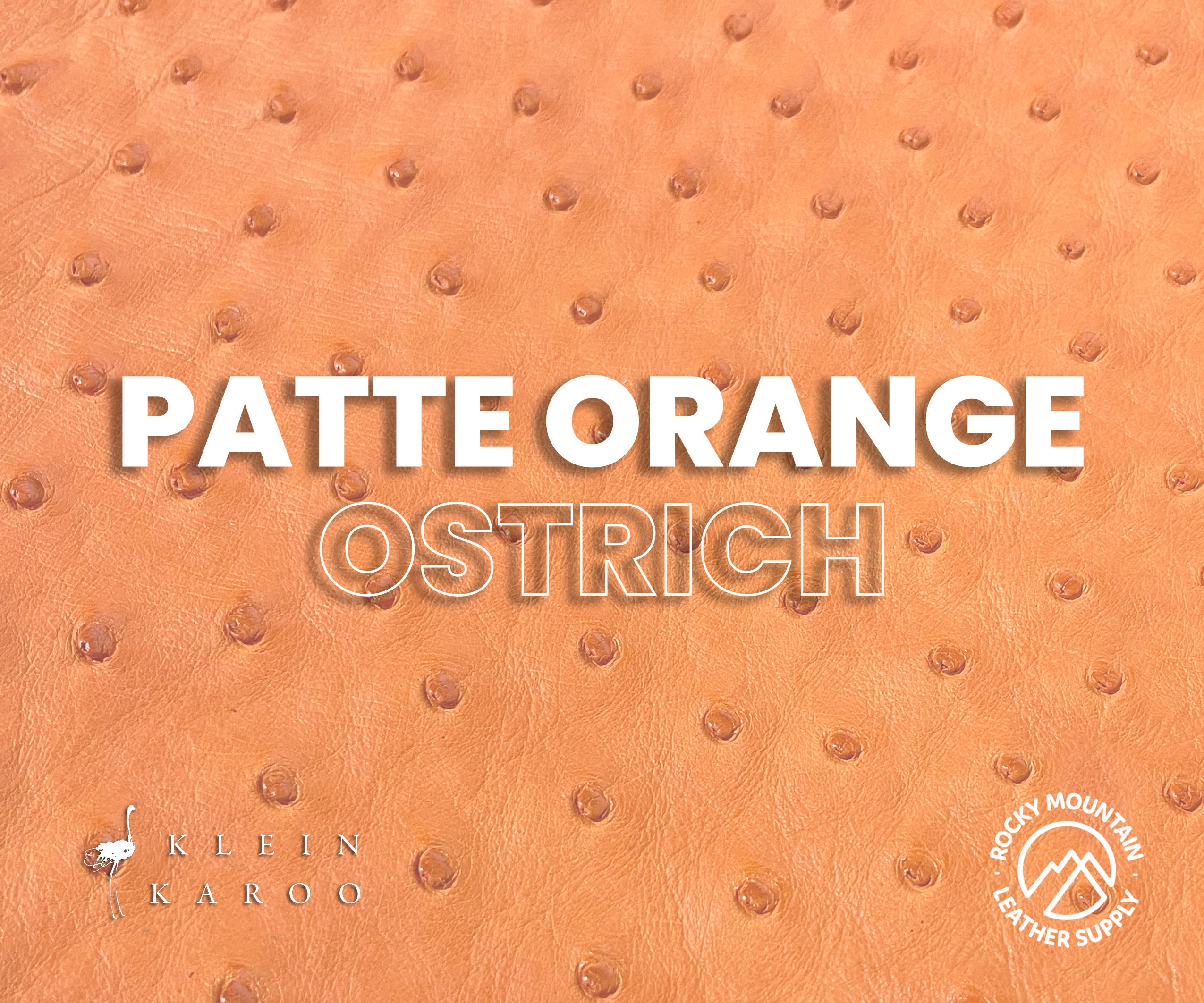 Klein Karoo - Luxury Ostrich -  Matte - Exotic Leather (Hides)