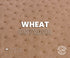 Klein Karoo - Luxury Ostrich -  Matte - Exotic Leather (Hides)