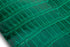 Porosus Crocodile Tails - Luxury Skins (Glazed Marine) 40% OFF!