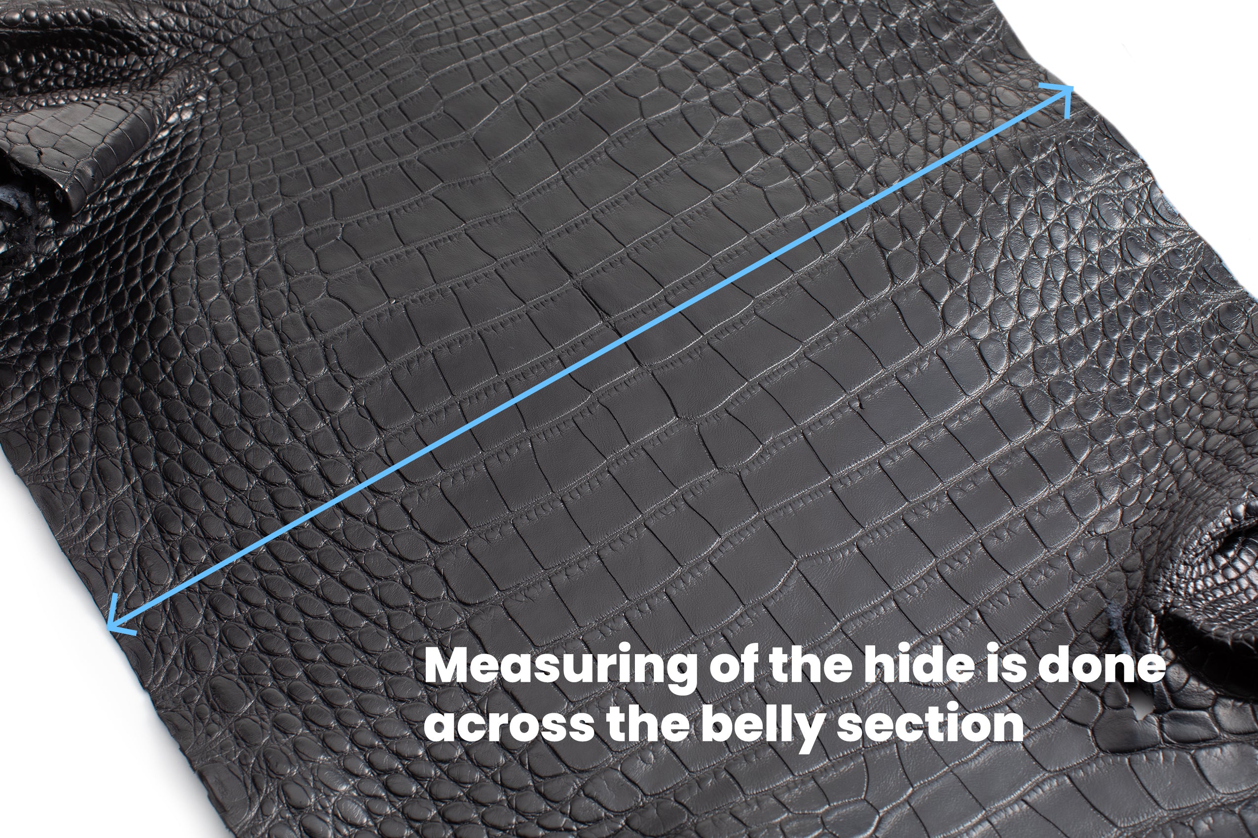 American Alligator - Luxury Skins - Matte Black - (HIDES) 50% OFF!