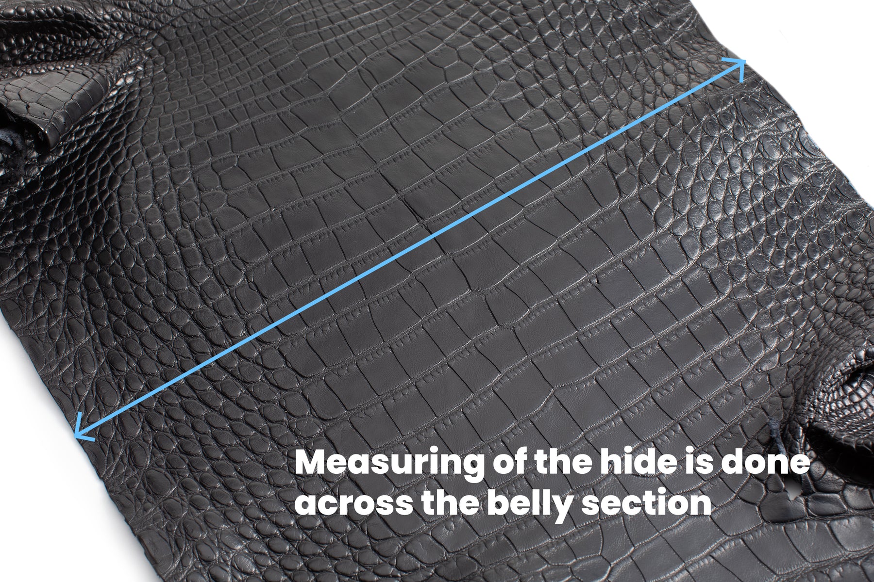 American Alligator - Luxury Skins - Matte Black - (HIDES) 50% OFF!