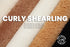Curly Merino Shearling - Luxury Lambskin Leather (HIDES) - 50% OFF!