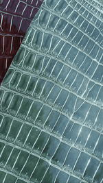 Porosus Crocodile Tails - Farm Raised (Top Quality) - Luxury Skins (Glazed Blues)