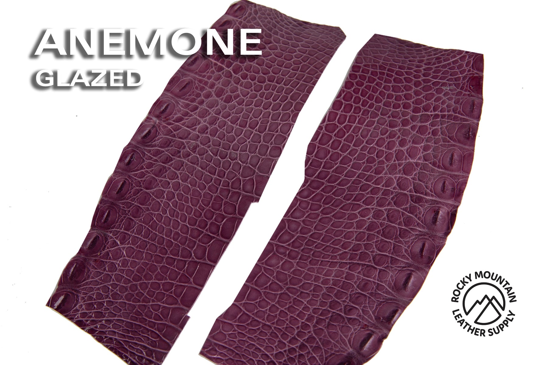 Outlet - American Alligator Flanks - 50% OFF!