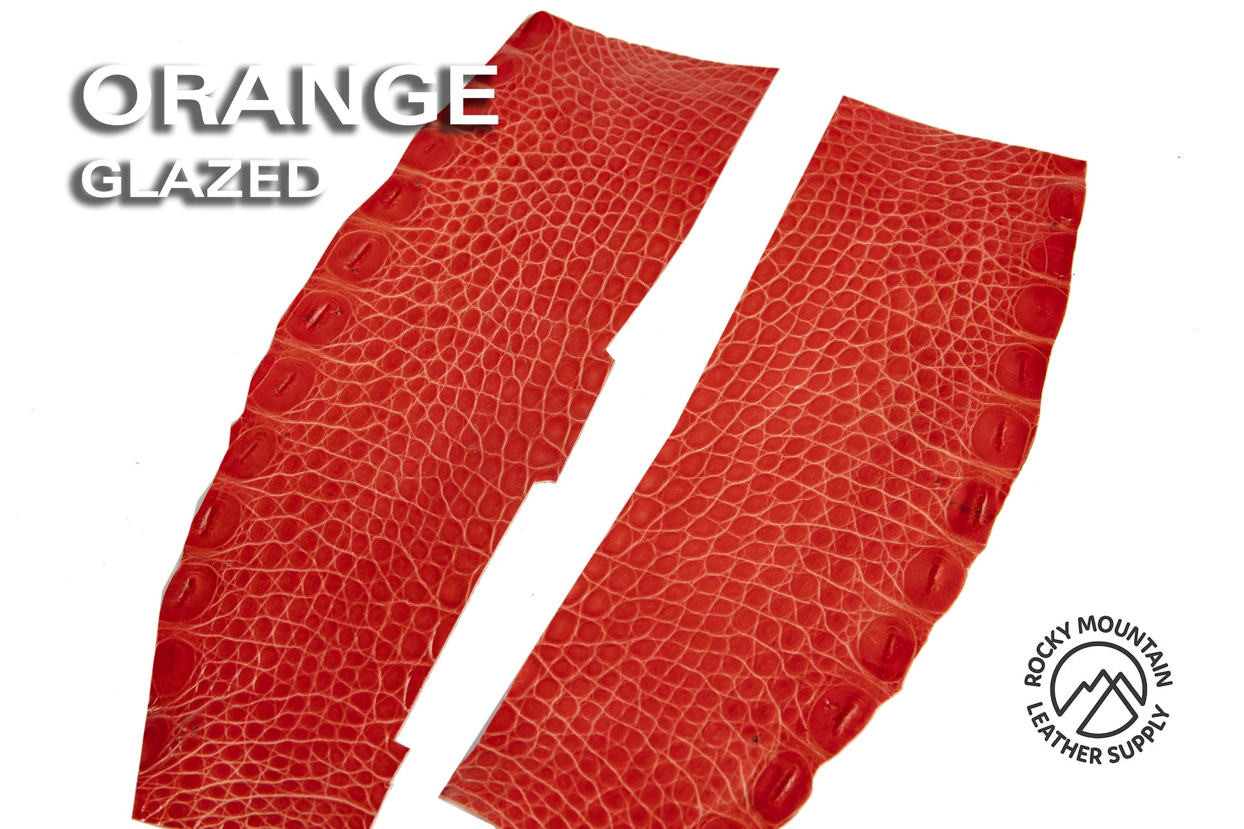 Outlet - American Alligator Flanks - 50% OFF!