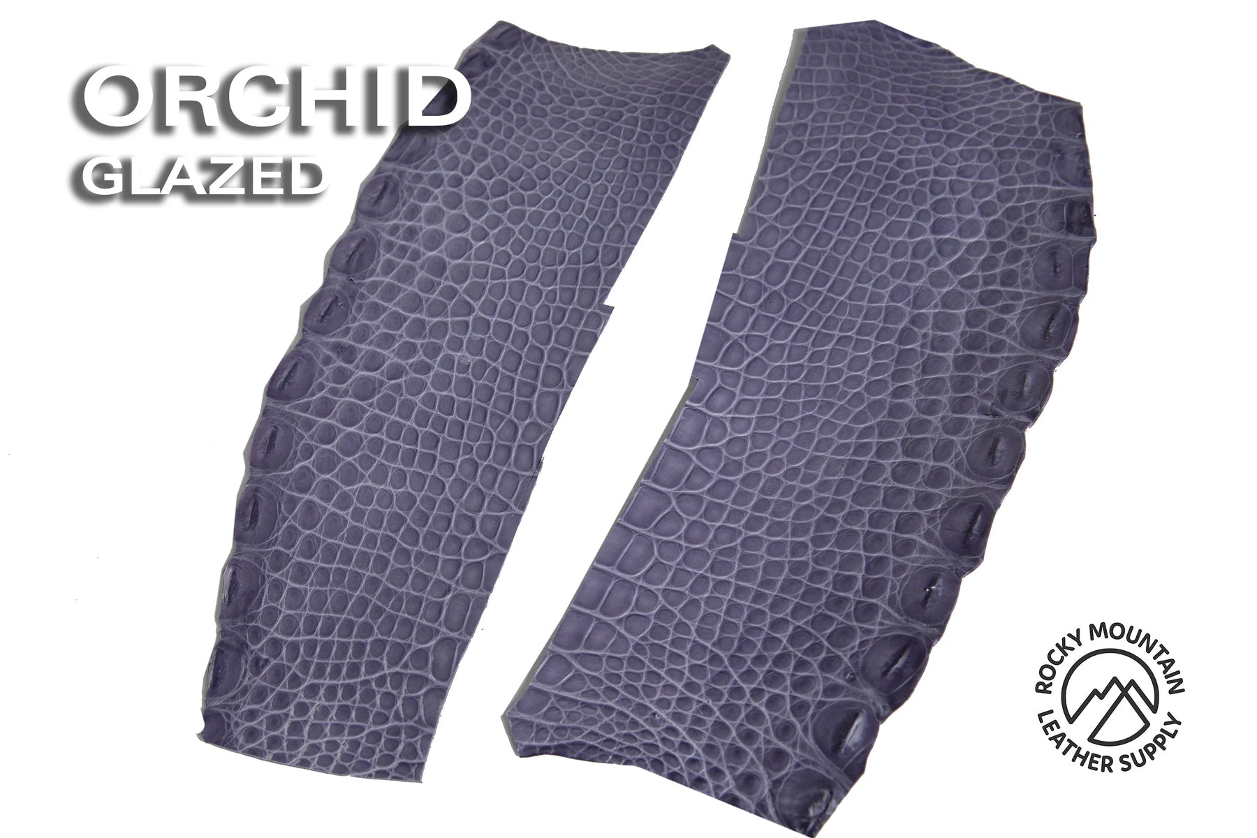 Outlet - American Alligator Flanks - 50% OFF!