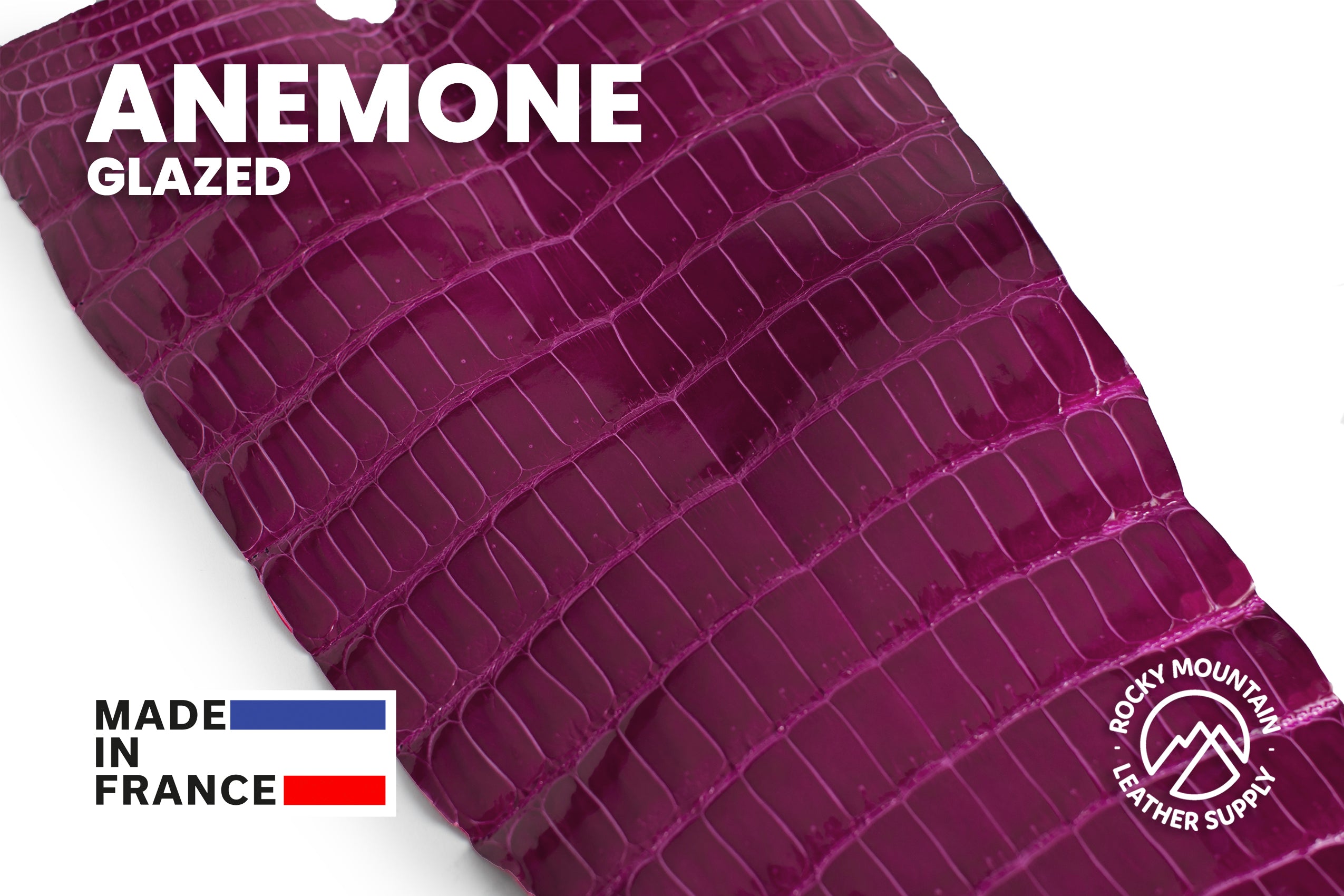 Porosus Crocodile Tails - Luxury Skins (Glazed Anemone) 40% OFF!