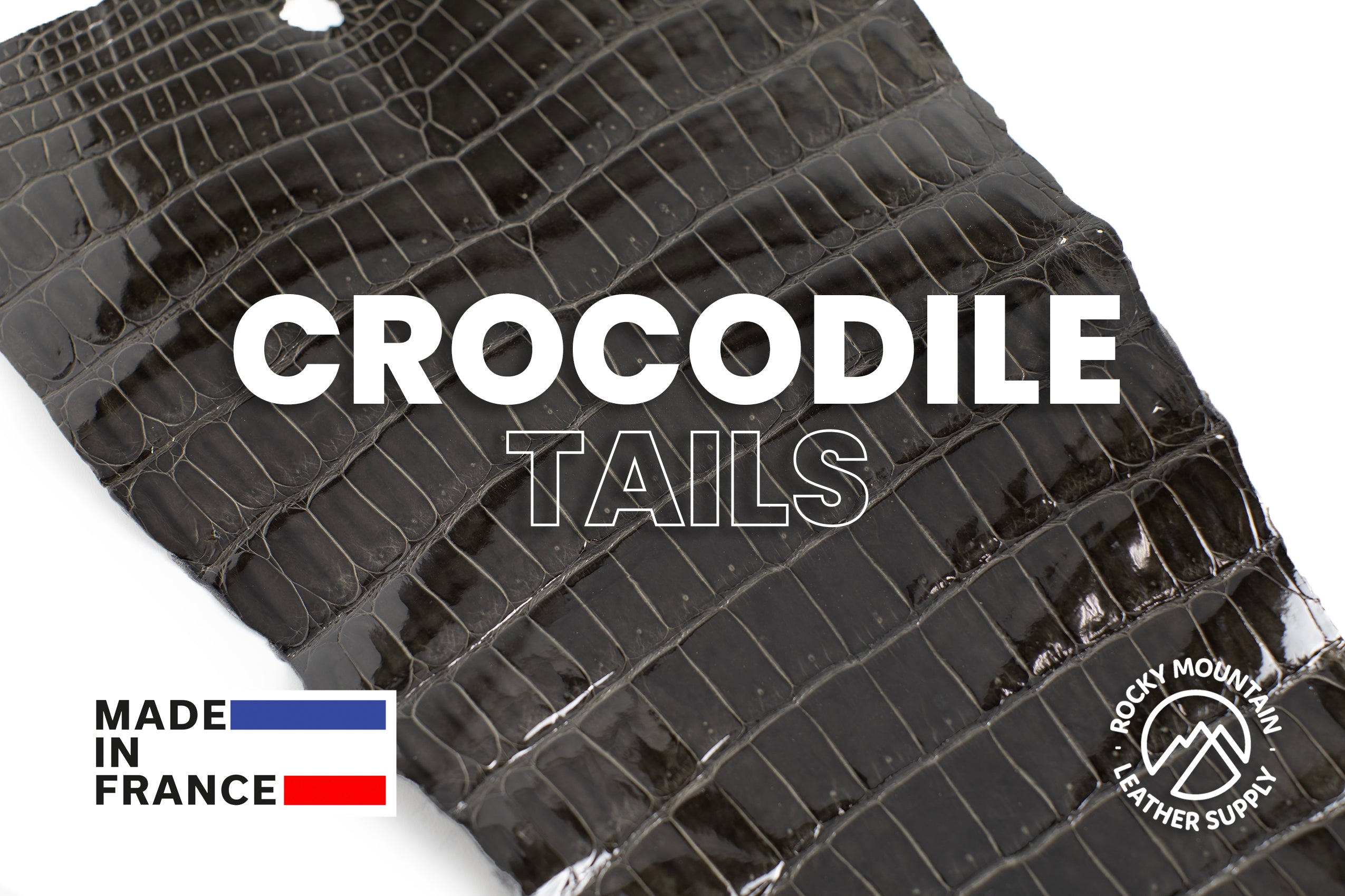 Porosus Crocodile Tails - Luxury Skins (Glazed Cacao) 40% OFF!