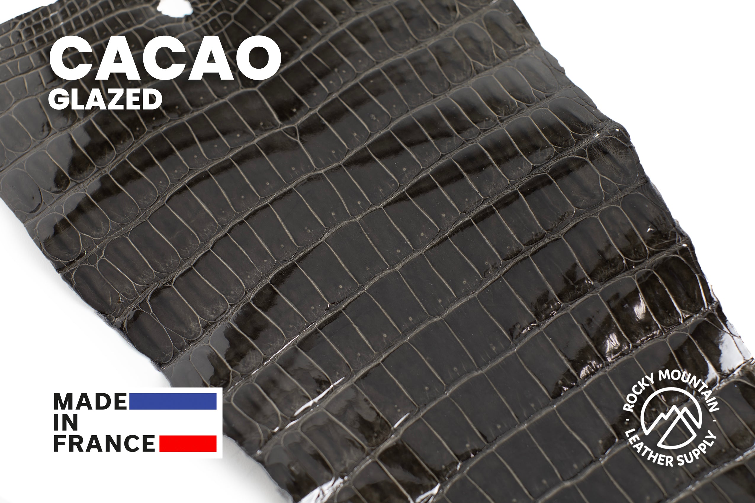 Porosus Crocodile Tails - Luxury Skins (Glazed Cacao) 40% OFF!