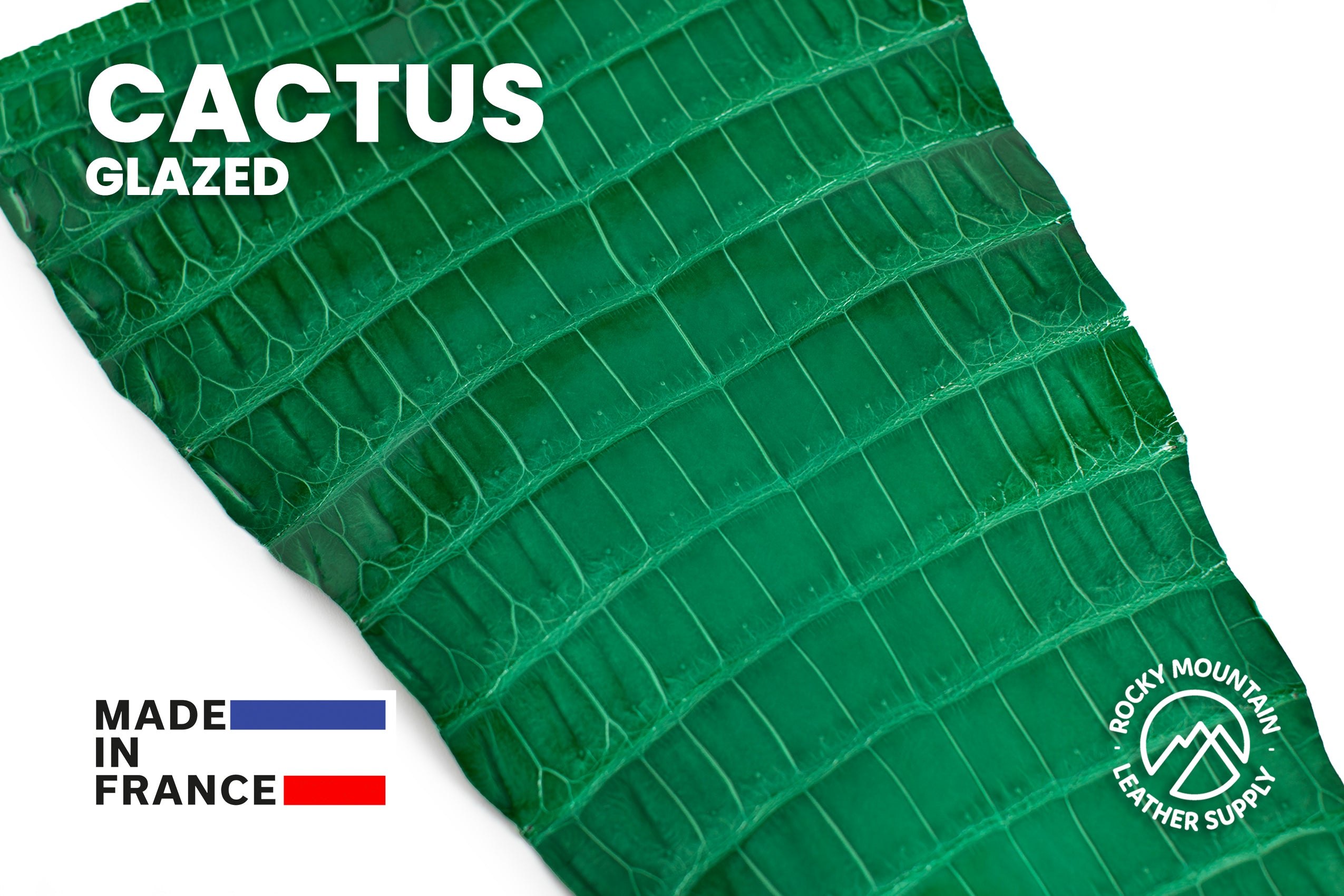 Porosus Crocodile Tails - Luxury Skins (Glazed Cactus) 40% OFF!