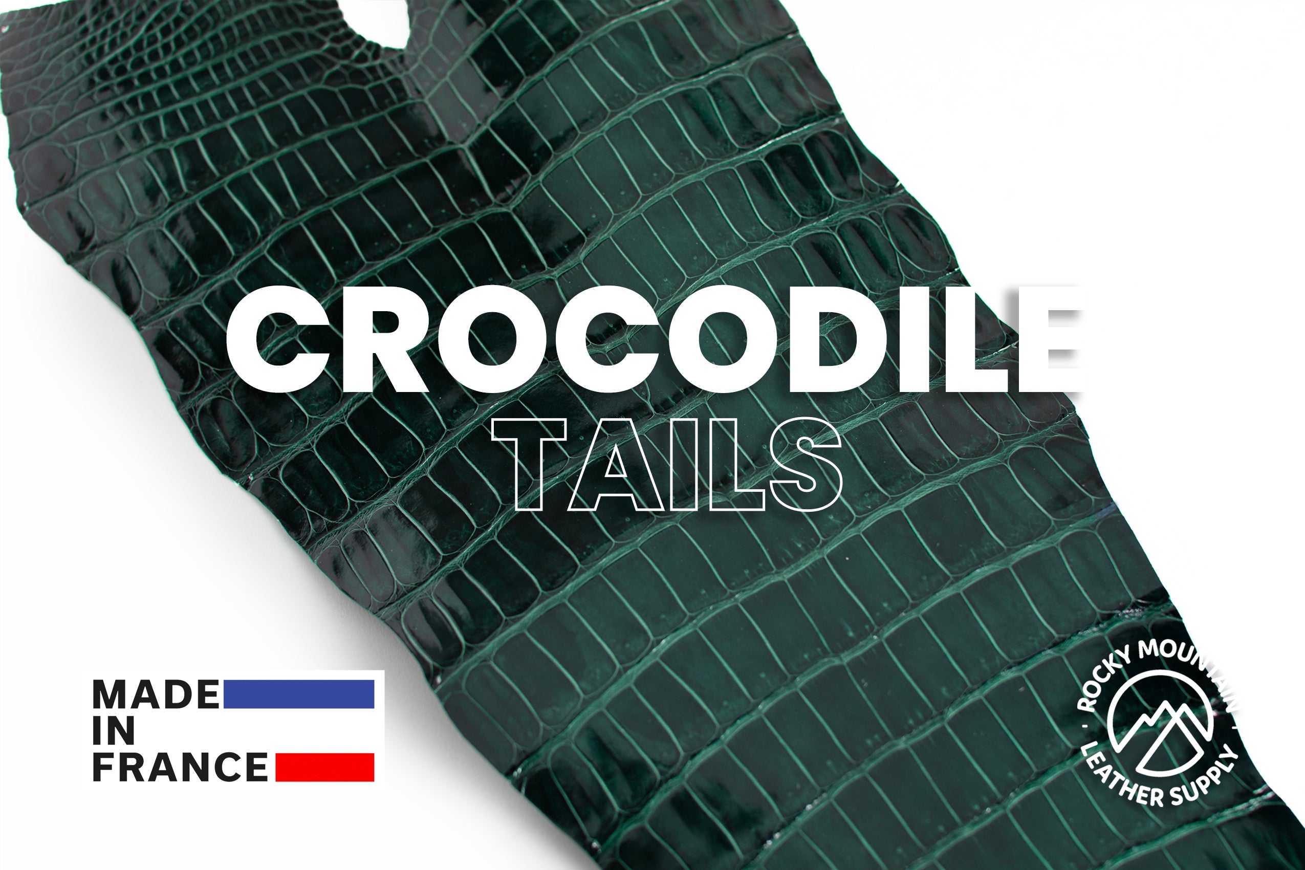 Porosus Crocodile Tails - Luxury Skins (Glazed Forest Green) 40% OFF!