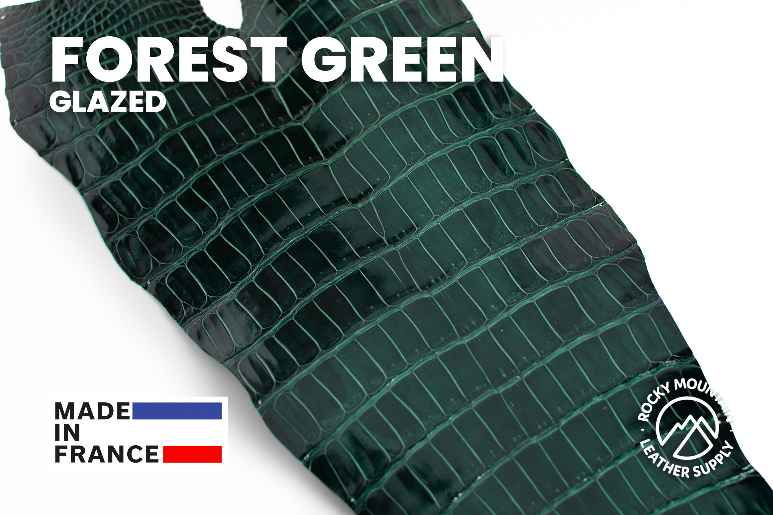 Porosus Crocodile Tails - Luxury Skins (Glazed Forest Green) 40% OFF!