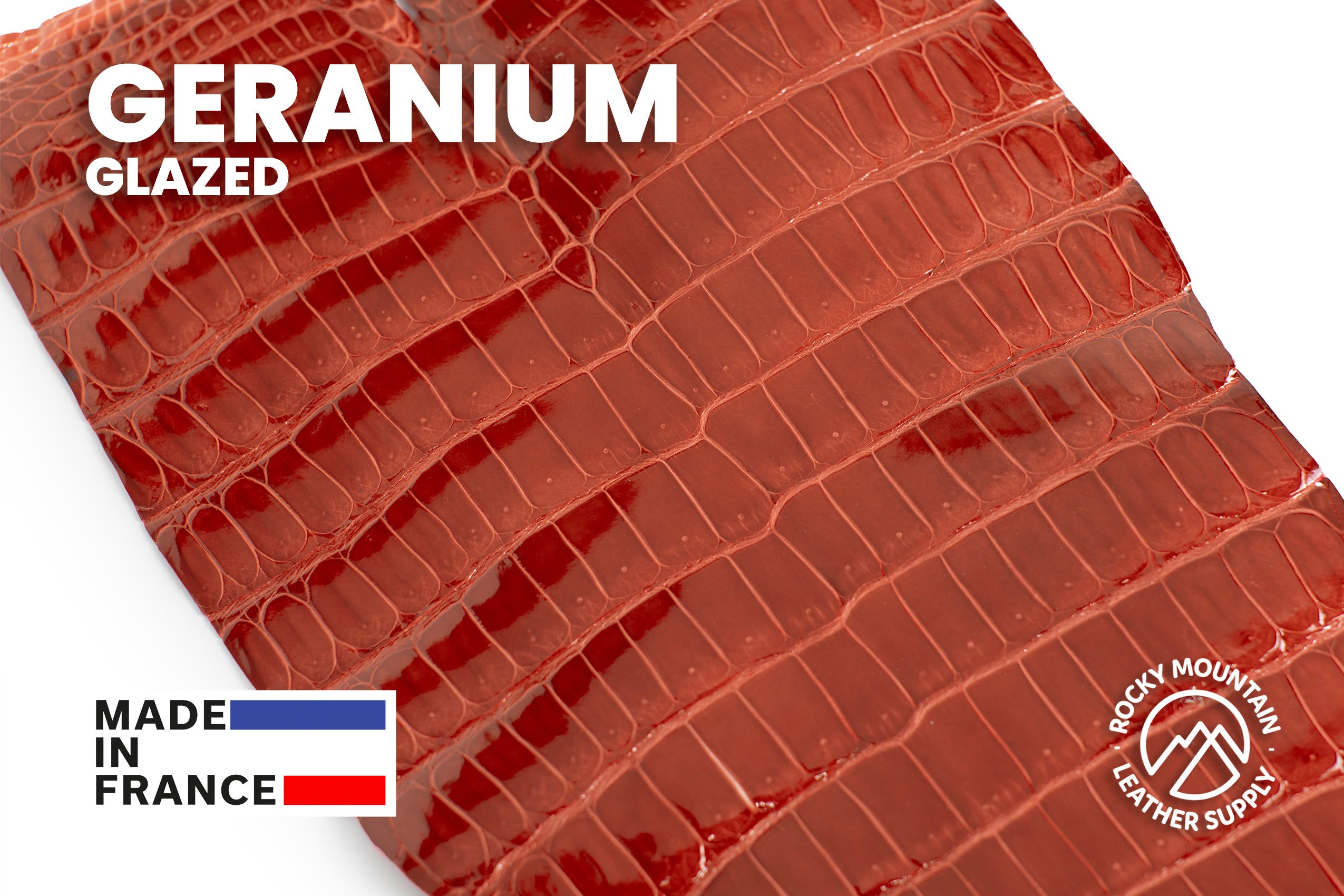 Porosus Crocodile Tails - Luxury Skins (Glazed Geranium) 40% OFF!