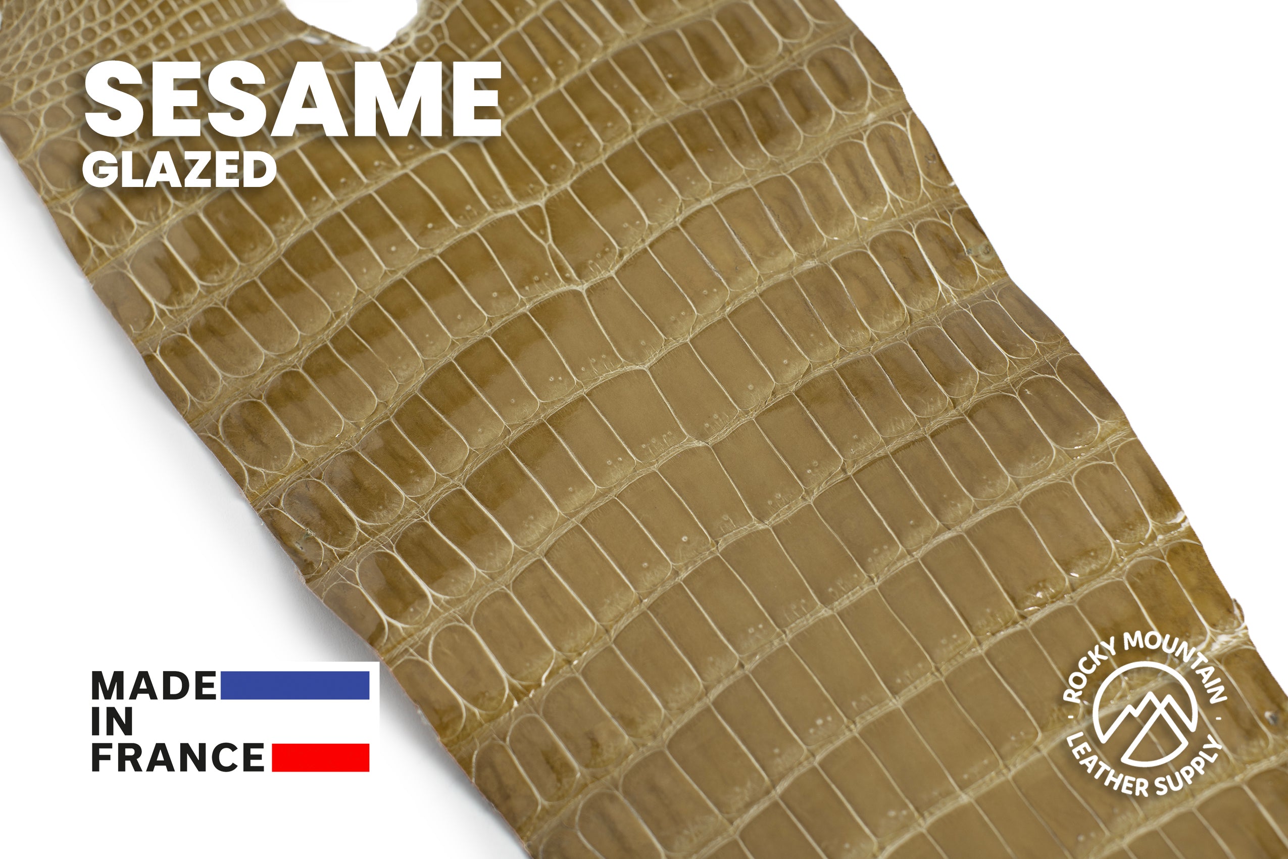 Porosus Crocodile Tails - Luxury Skins (Glazed Sesame) 40% OFF!