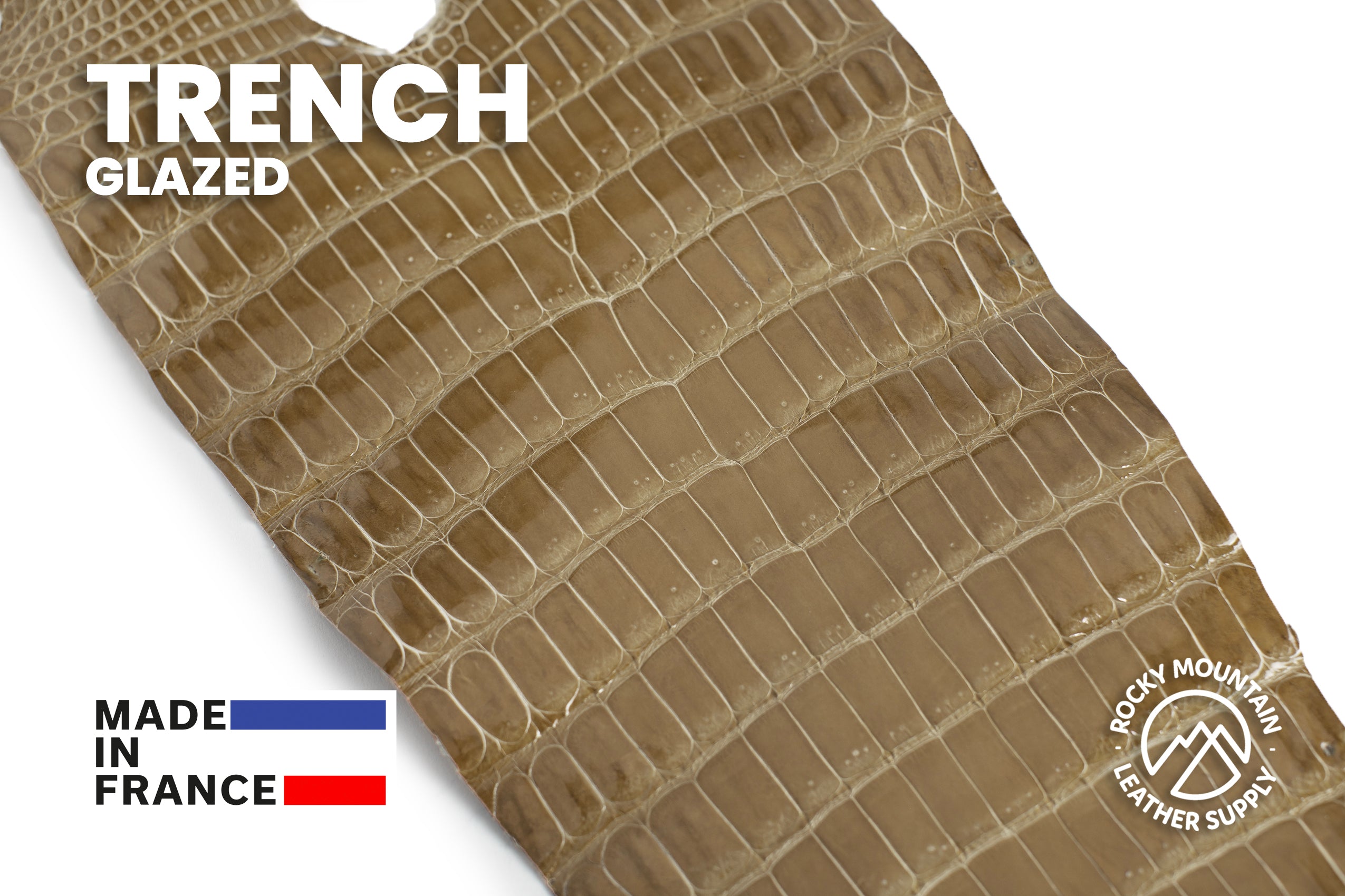 Porosus Crocodile Tails - Luxury Skins (Glazed Trench) 40% OFF!