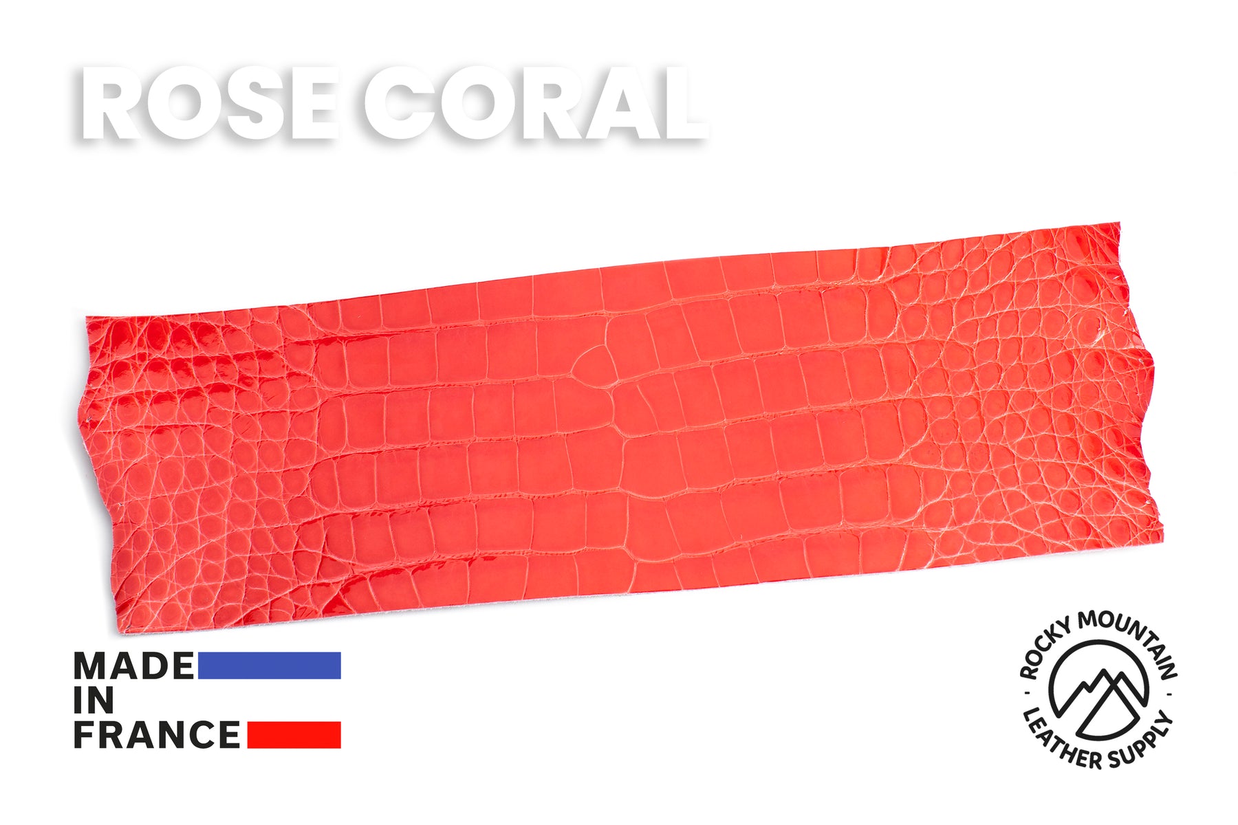 Porosus Crocodile - Glazed - Luxury Skins (PANELS)