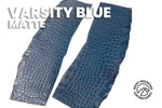 Outlet - American Alligator Flanks - 50% OFF!