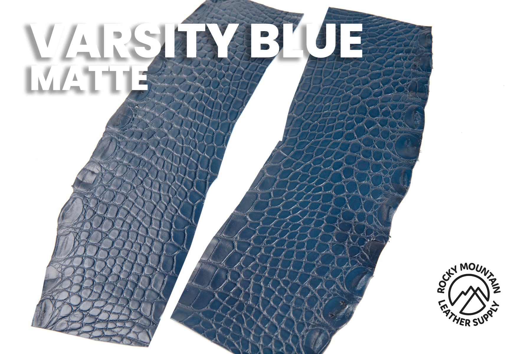 Outlet - American Alligator Flanks - 50% OFF!