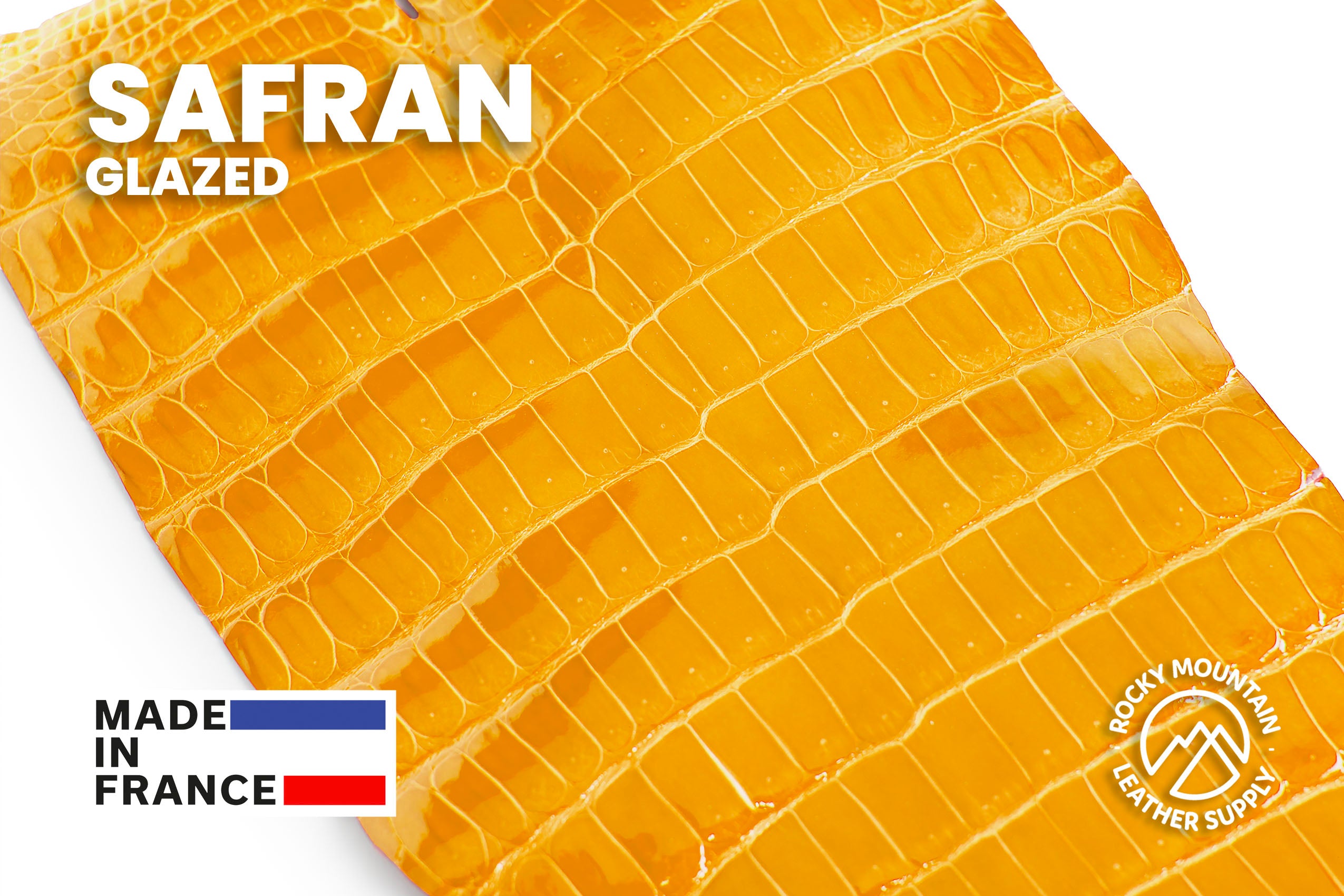 Porosus Crocodile Tails (Glazed) - Luxury Skins - 80% OFF!