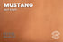Seidel - Overstock Leather (HIDES) - Up to 50% OFF!
