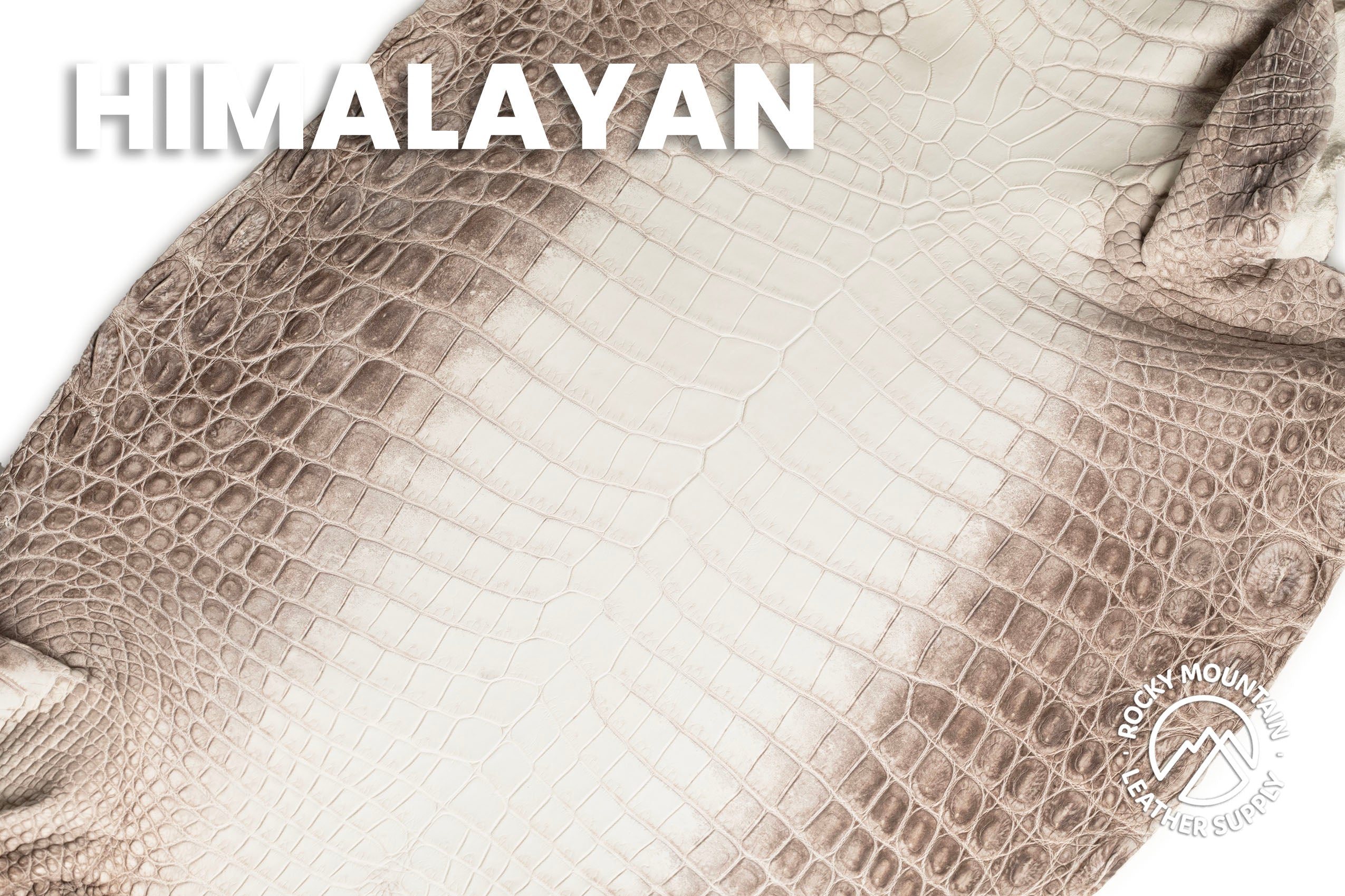 Crocodile - Matte Himalyan - Farm Raised - Luxury Skins