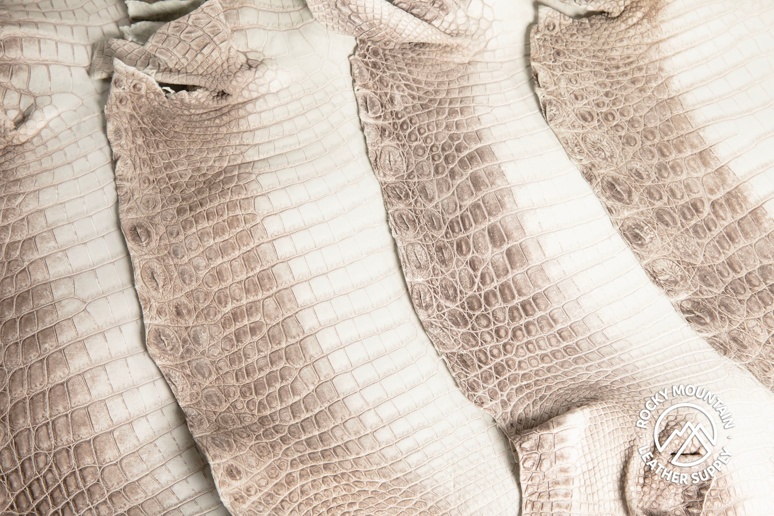 Crocodile - Matte Himalyan - Farm Raised - Luxury Skins
