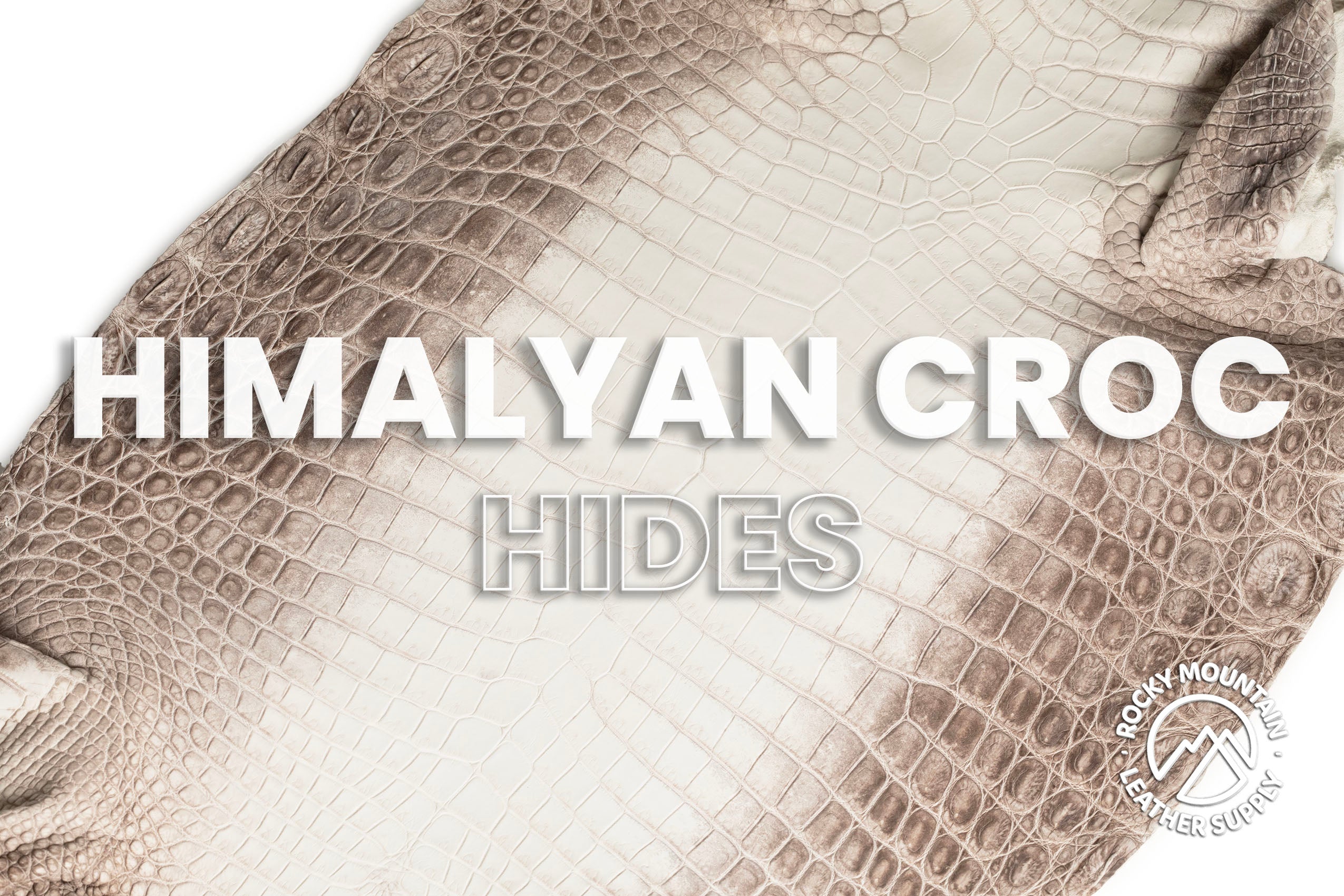 Crocodile - Matte Himalyan - Farm Raised - Luxury Skins
