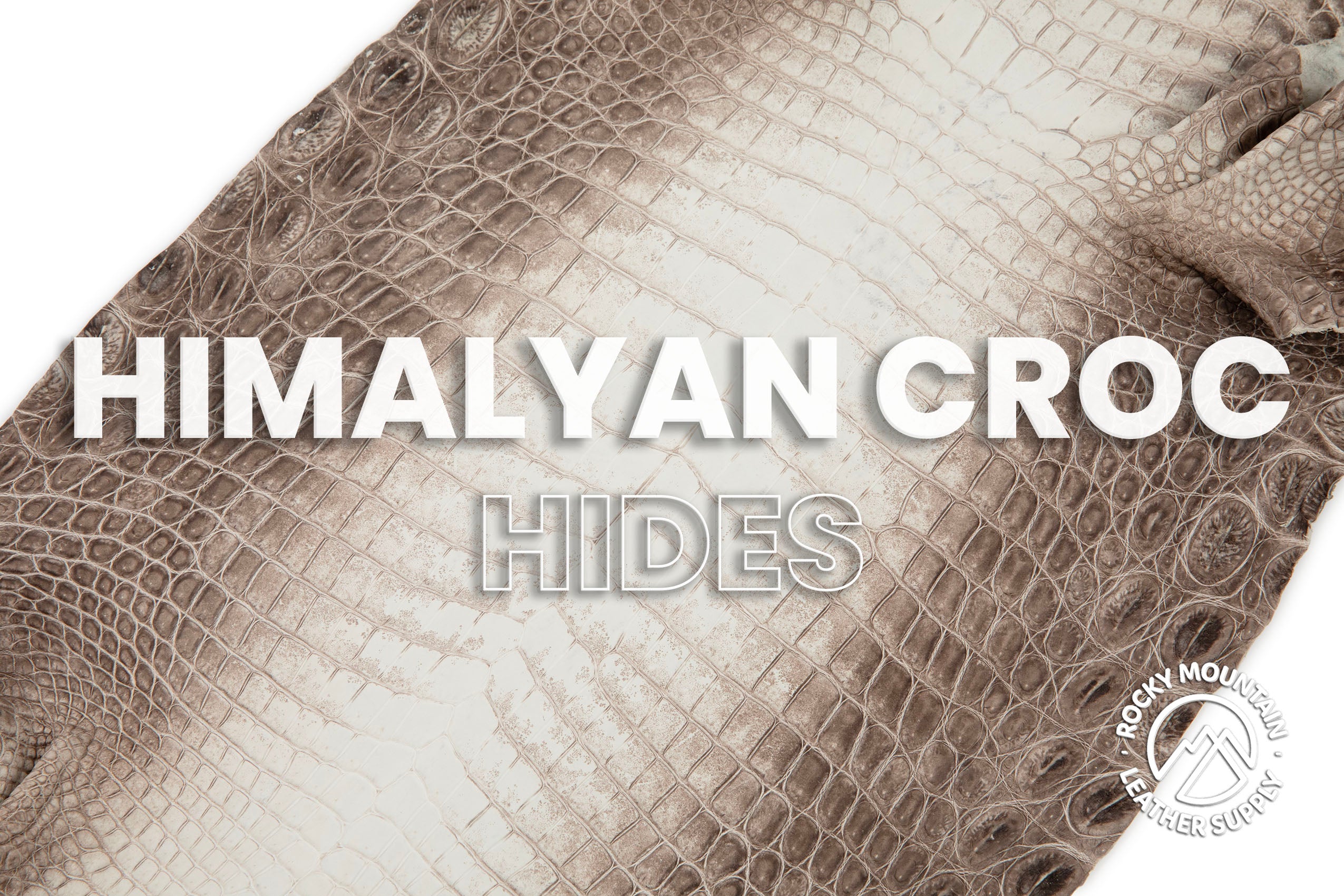Crocodile - Matte Himalyan Gradiant - Farm Raised - Luxury Skins