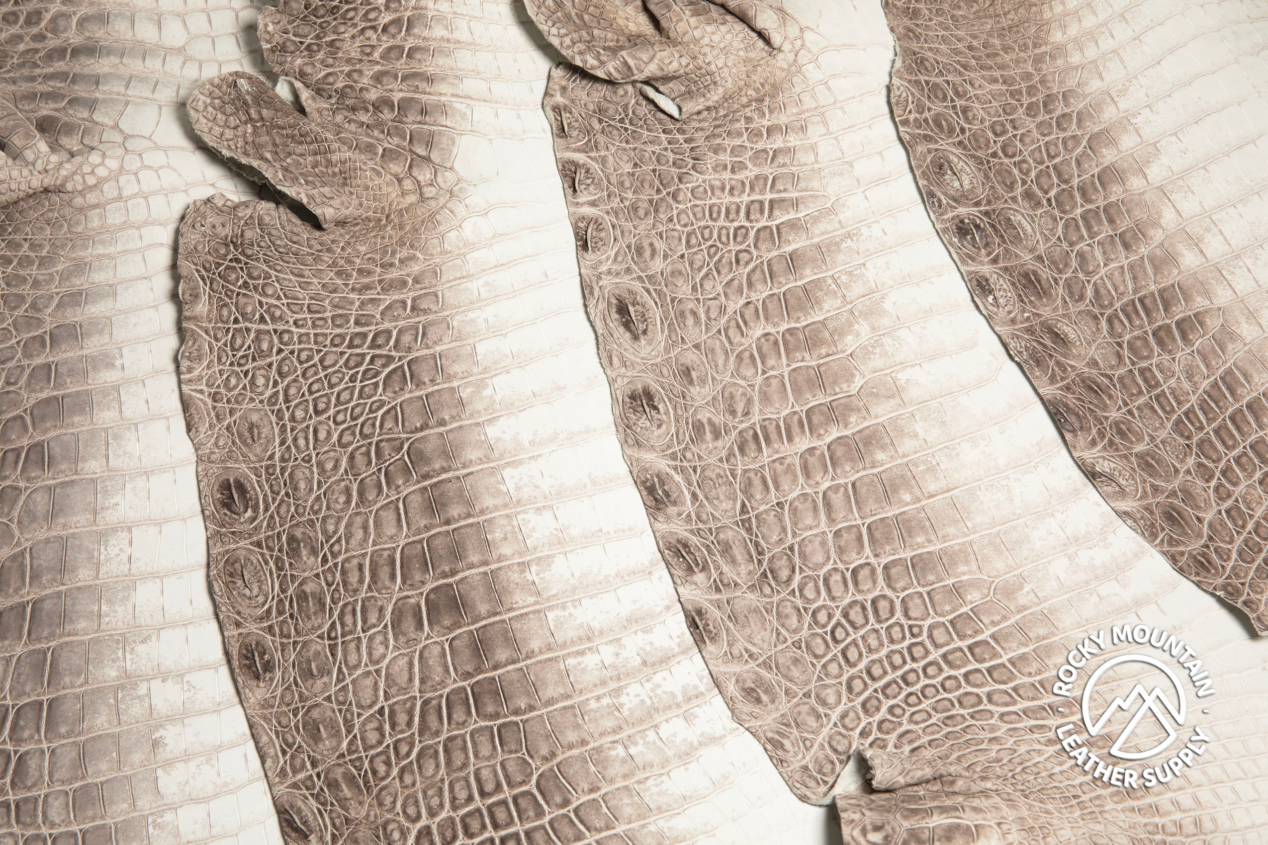 Crocodile - Matte Himalyan Gradiant - Farm Raised - Luxury Skins