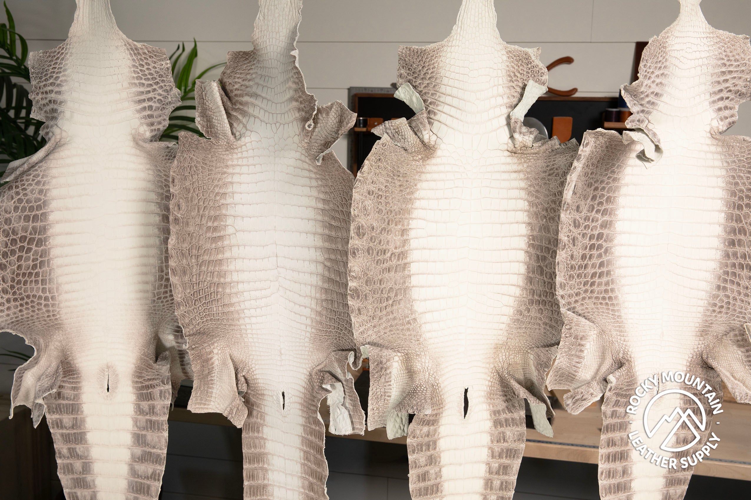 Crocodile - Matte Himalyan Gradiant - Farm Raised - Luxury Skins