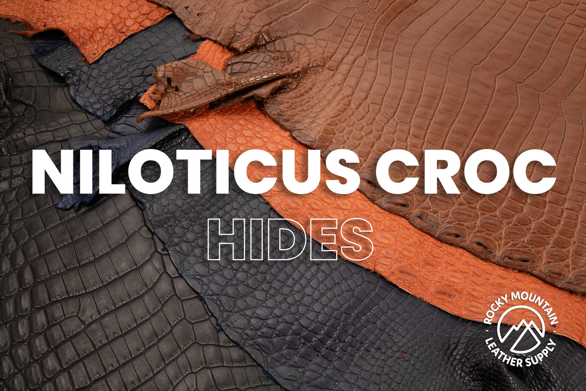 Niloticus Crocodile Soft - Farm Raised - Luxury Skins - 65% OFF!
