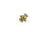 Oculus - Quick Release Snaps (Solid Brass) Round