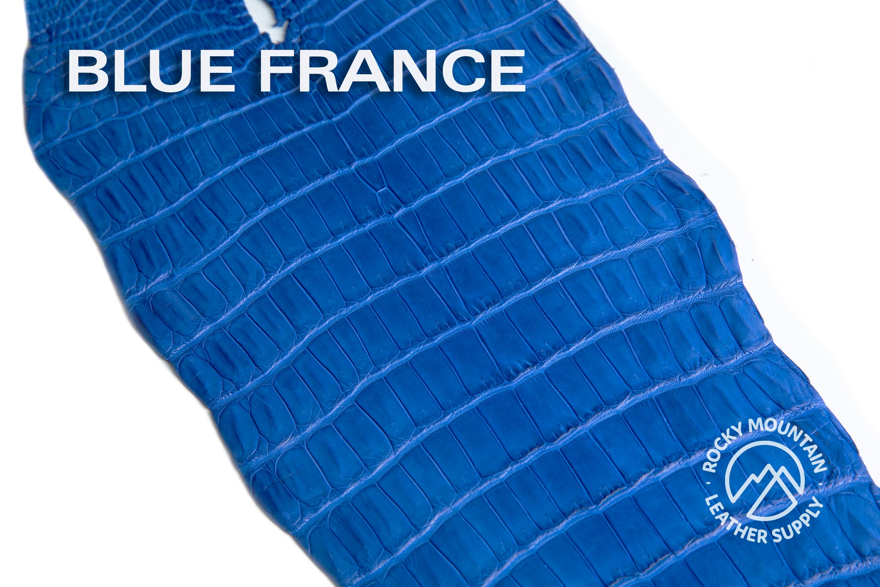 Porosus Crocodile Tails - Farm Raised (Top Quality) - Luxury Skins (Matte Colors)