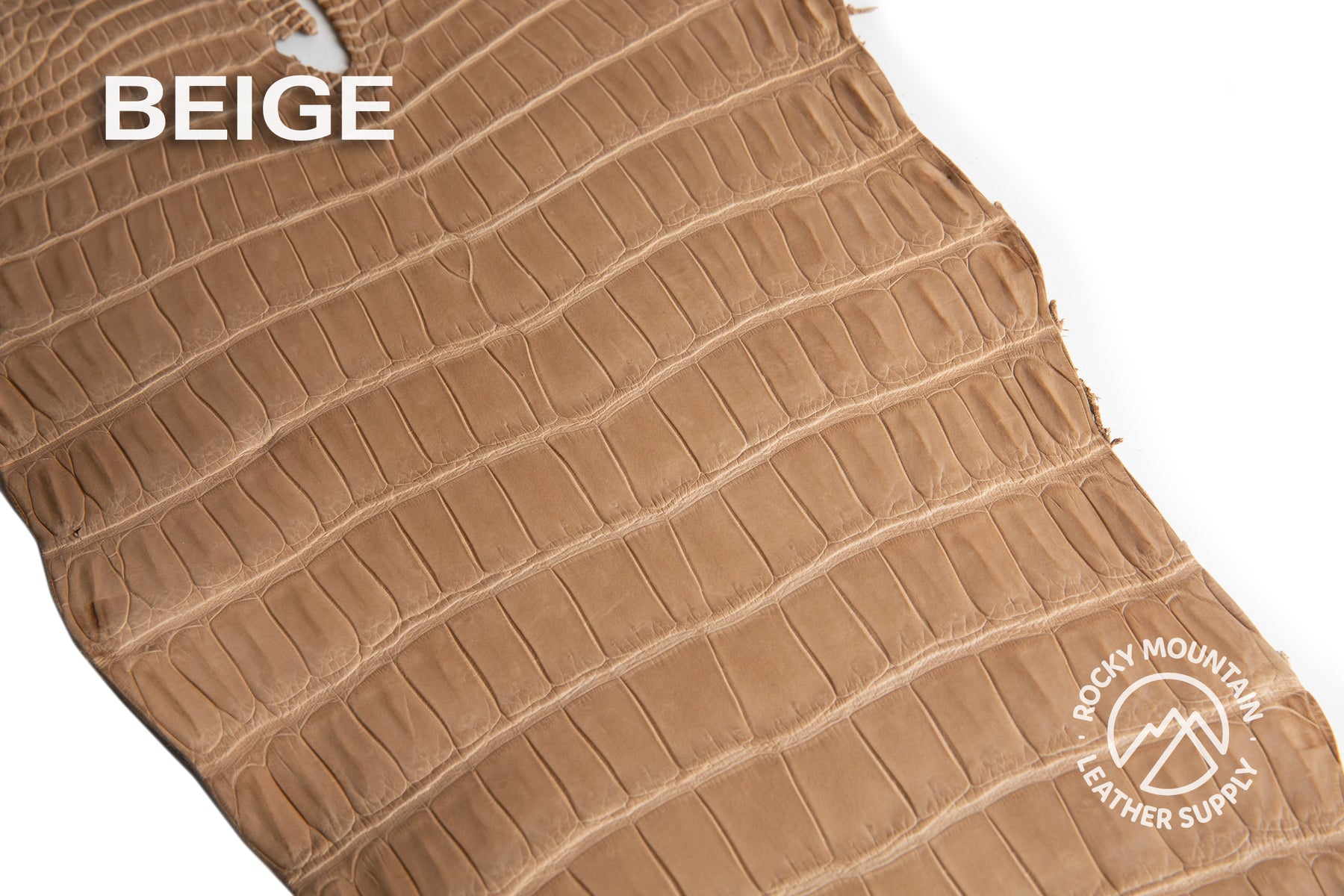Porosus Crocodile Tails - Farm Raised (Top Quality) - Luxury Skins (Matte Colors)