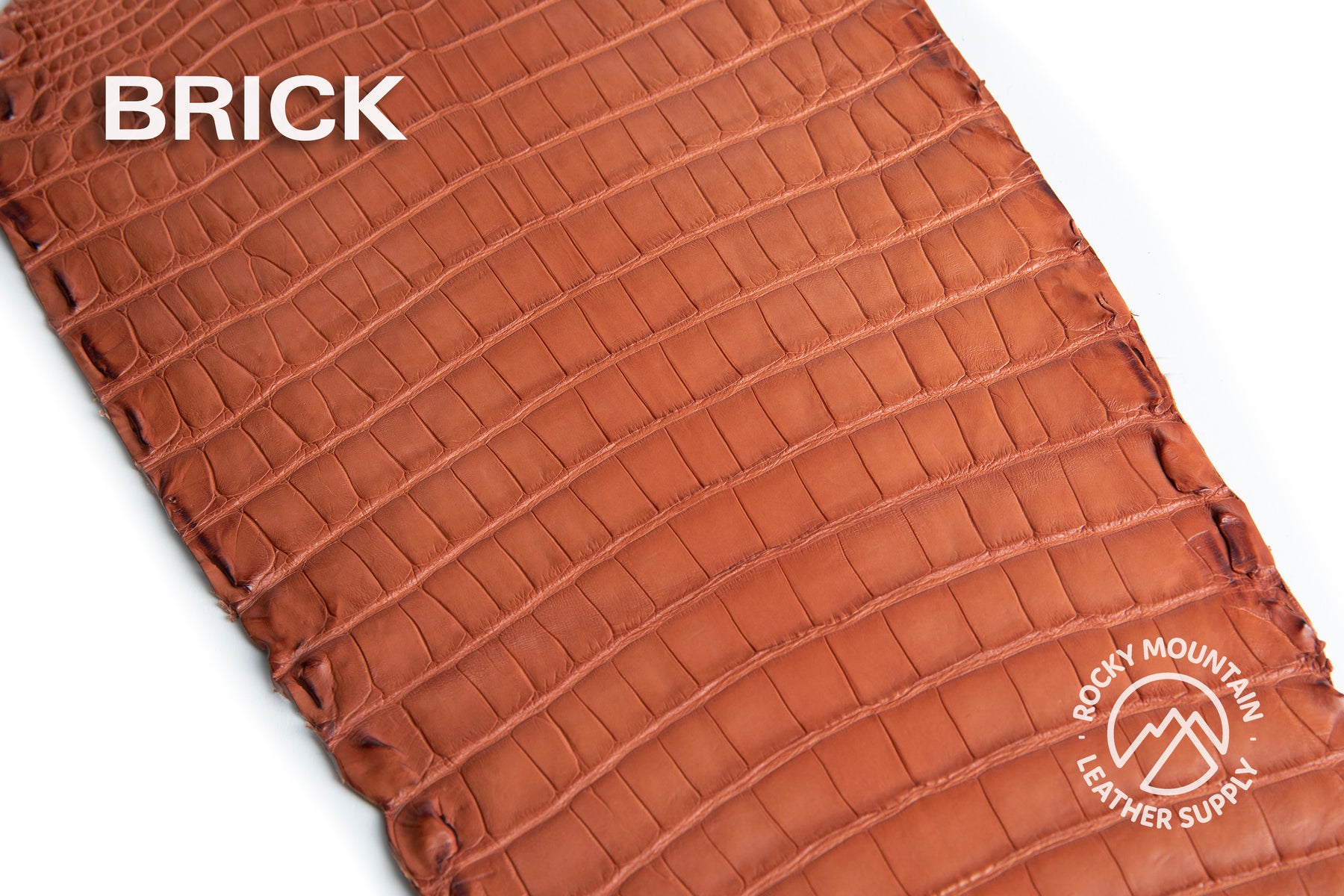 Porosus Crocodile Tails - Farm Raised (Top Quality) - Luxury Skins (Matte Colors)