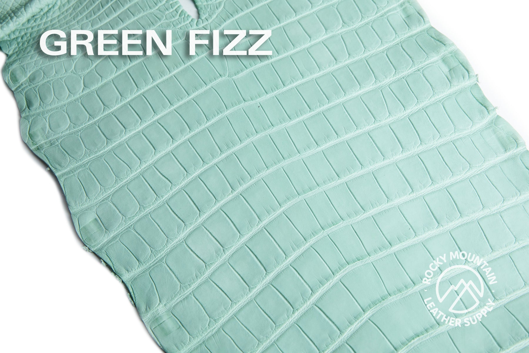 Porosus Crocodile Tails - Farm Raised (Top Quality) - Luxury Skins (Matte Colors)