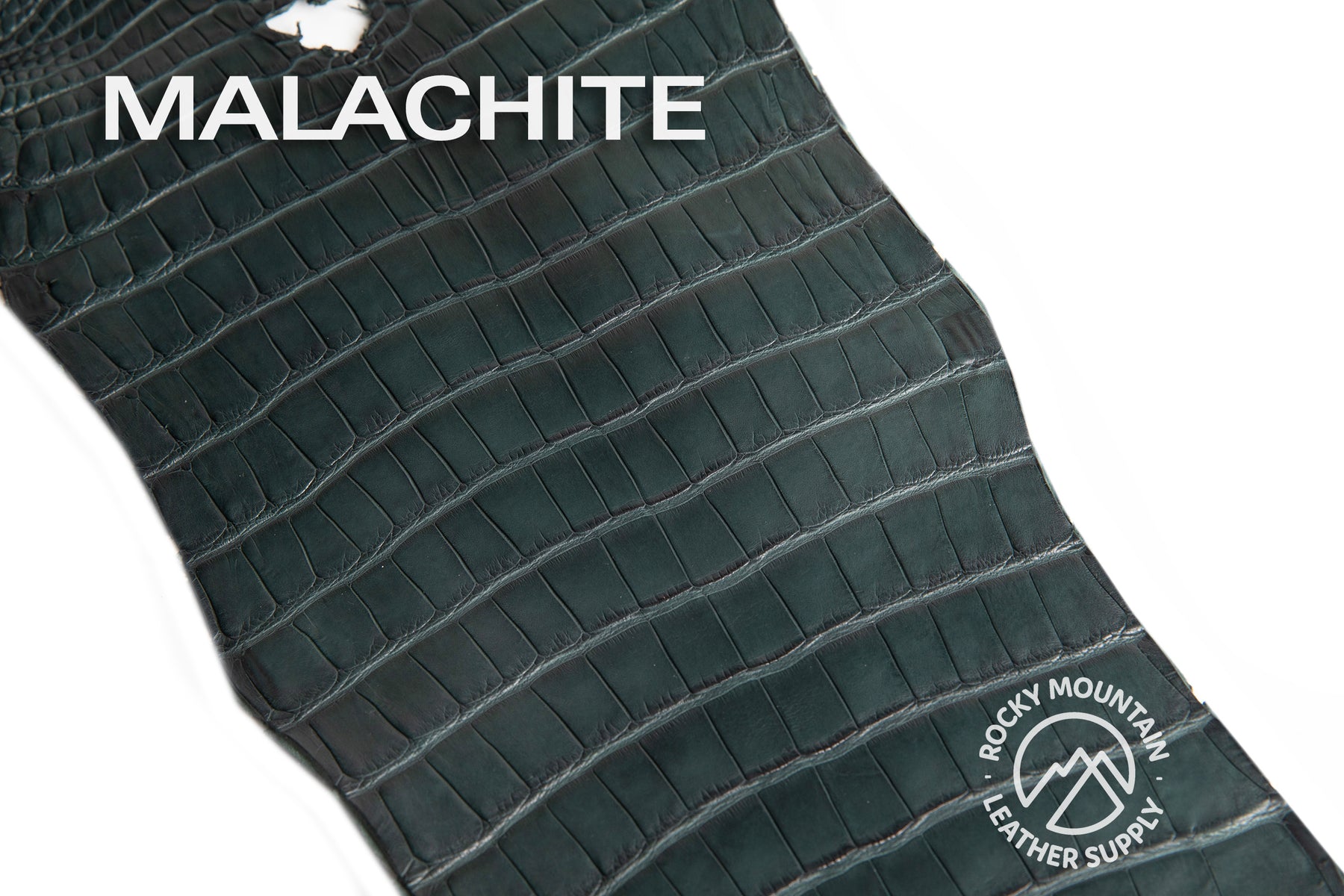 Porosus Crocodile Tails - Farm Raised (Top Quality) - Luxury Skins (Matte Colors)