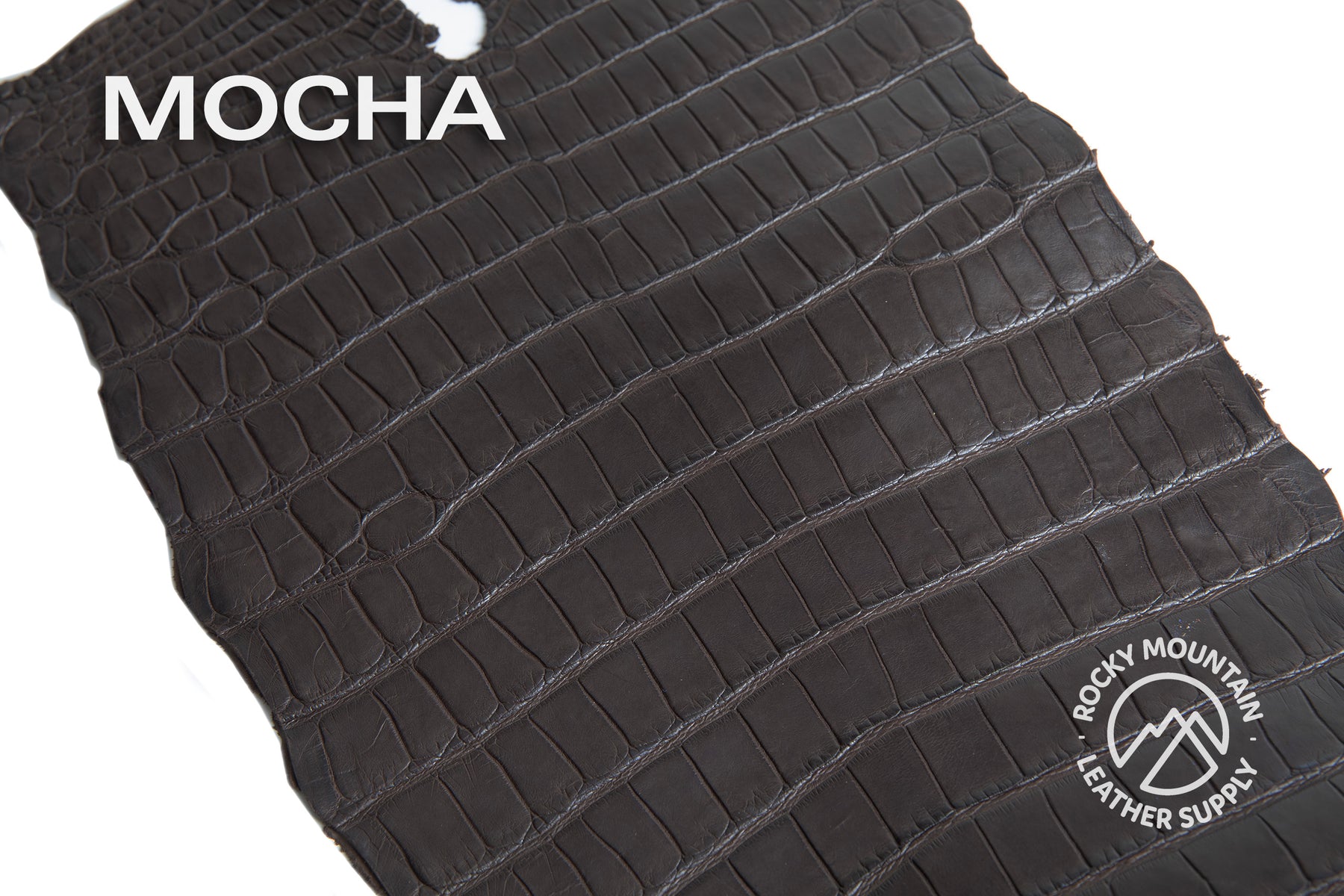 Porosus Crocodile Tails - Farm Raised (Top Quality) - Luxury Skins (Matte Colors)