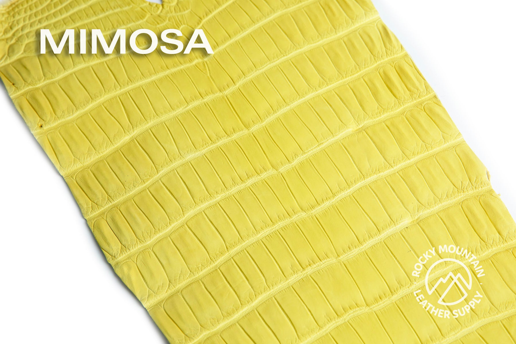 Porosus Crocodile Tails - Farm Raised (Top Quality) - Luxury Skins (Matte Colors)