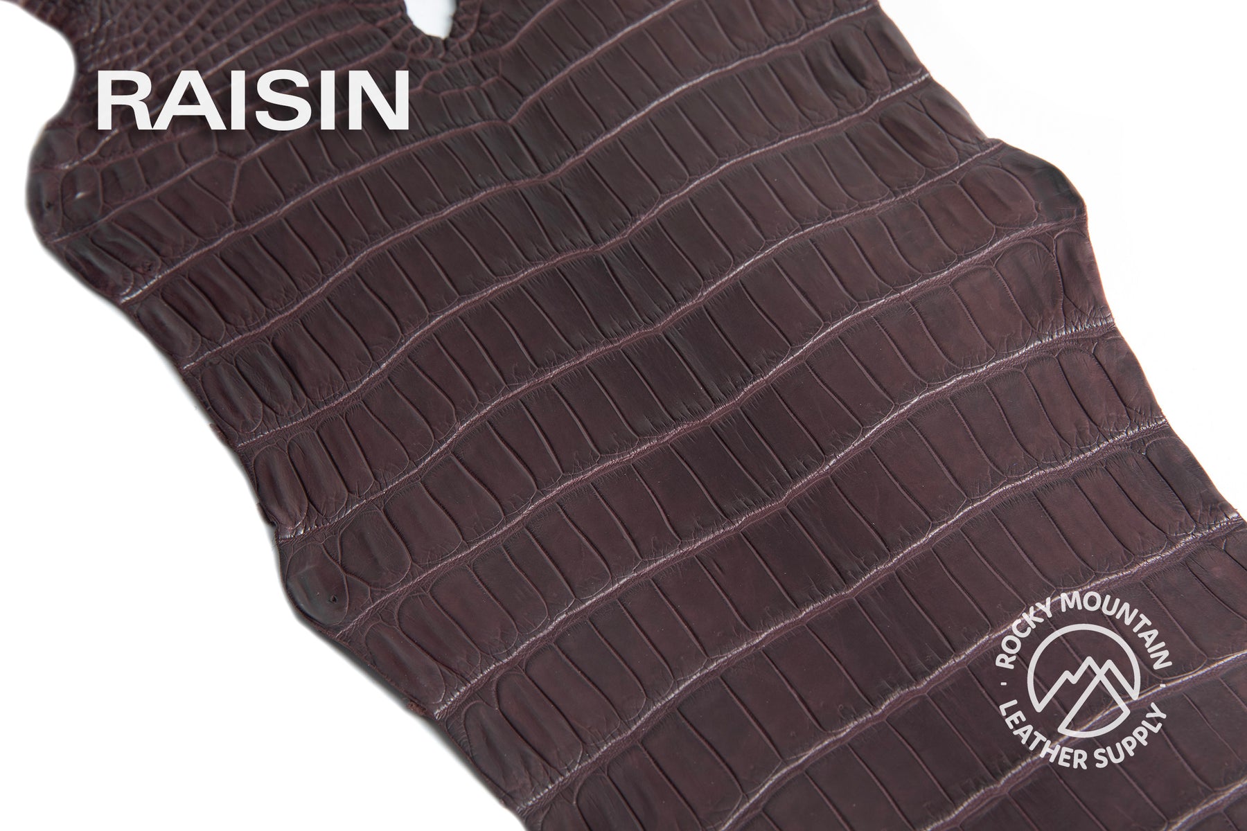 Porosus Crocodile Tails - Farm Raised (Top Quality) - Luxury Skins (Matte Colors)
