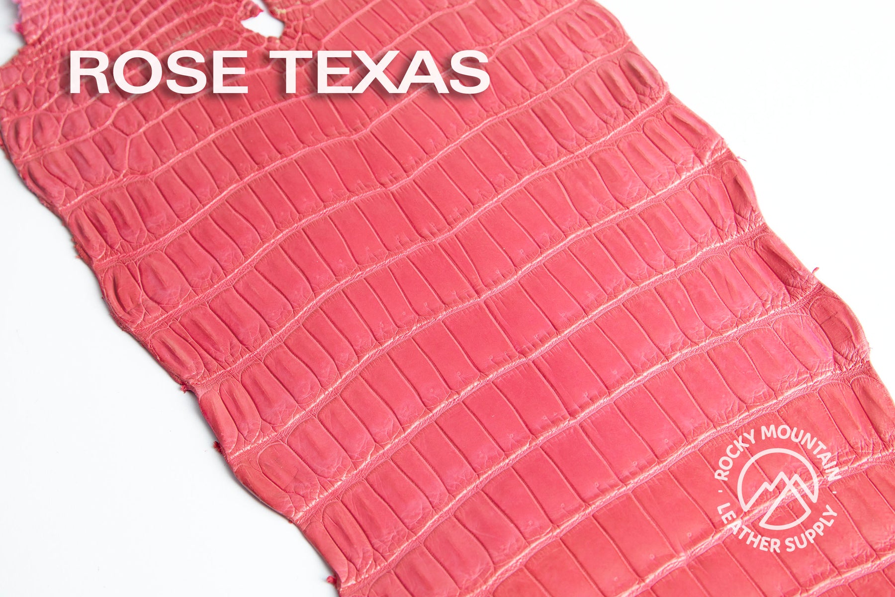 Porosus Crocodile Tails (Matte) - Luxury Skins - 50% OFF!