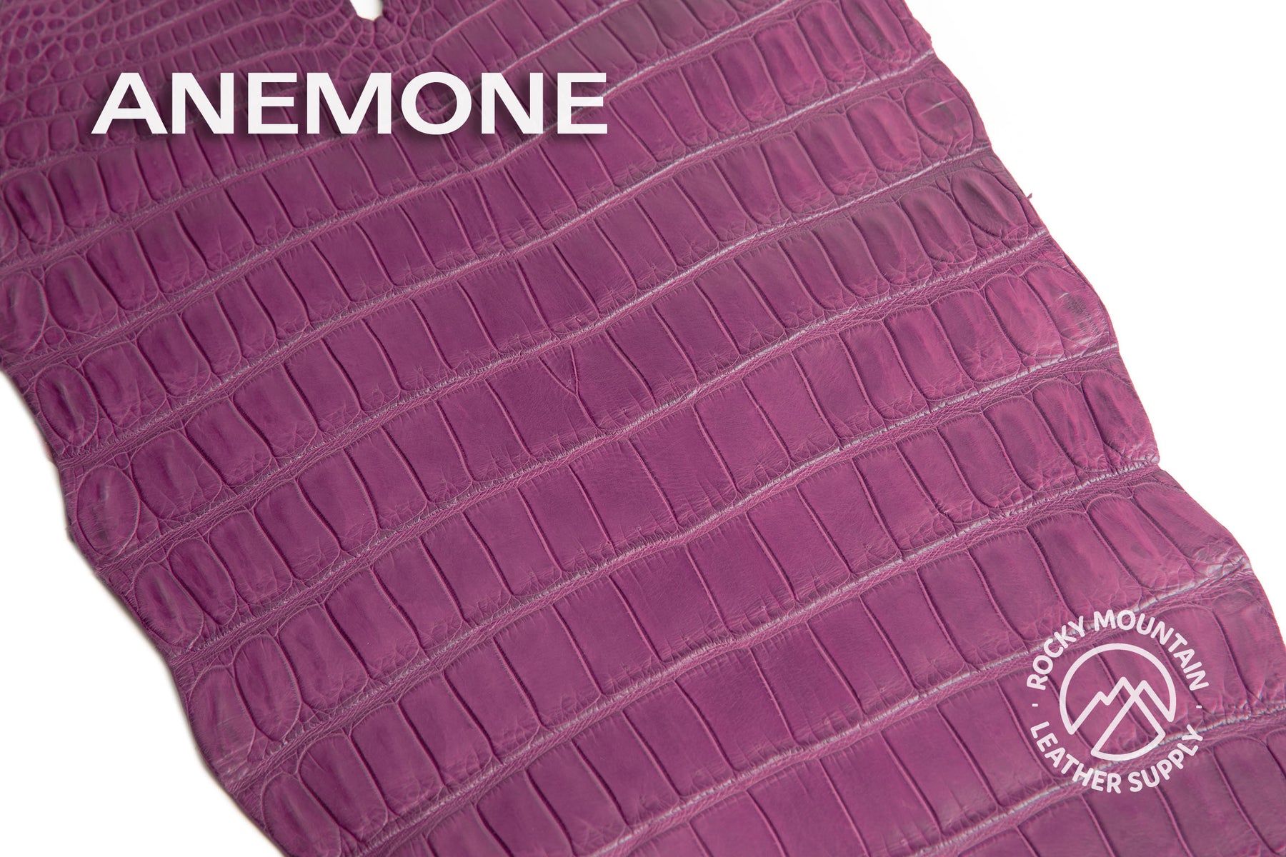 Porosus Crocodile Tails (Matte) - Luxury Skins - 50% OFF!